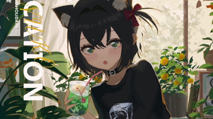 [discord] 11月 Requested video ⑤